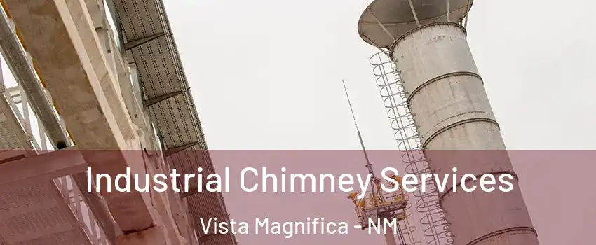 Industrial Chimney Services Vista Magnifica - NM