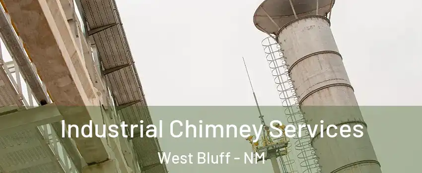 Industrial Chimney Services West Bluff - NM