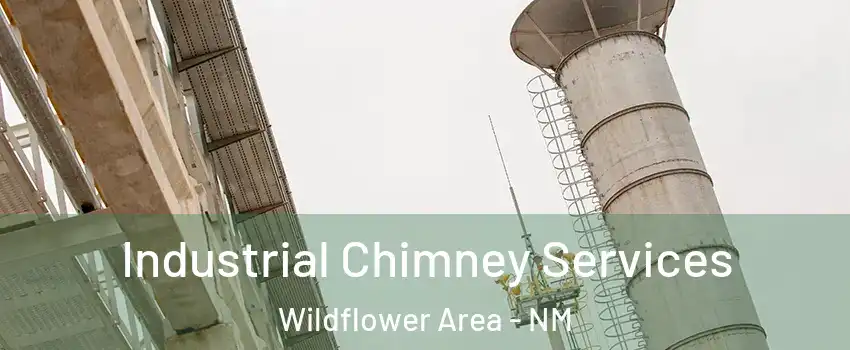 Industrial Chimney Services Wildflower Area - NM