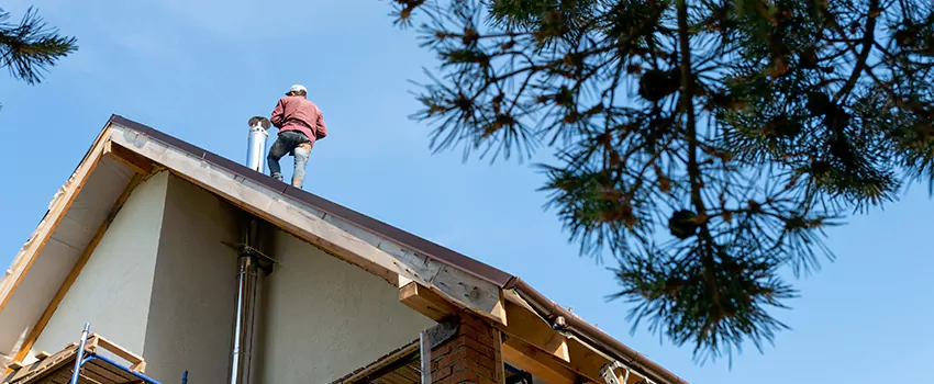 Birds Removal Contractors from Chimney in San Antonio Condominium, NM