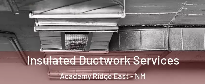 Insulated Ductwork Services Academy Ridge East - NM