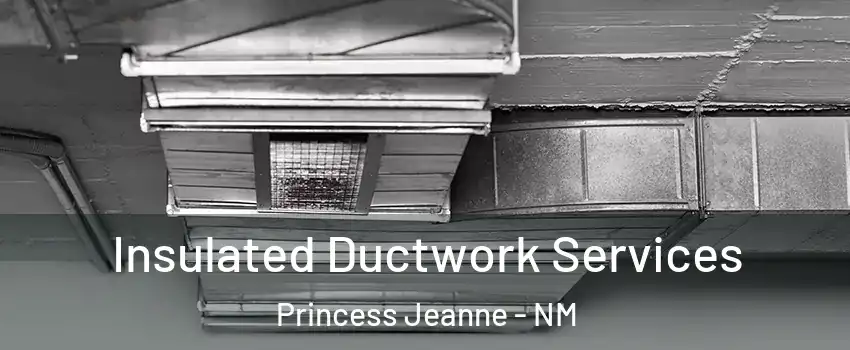 Insulated Ductwork Services Princess Jeanne - NM