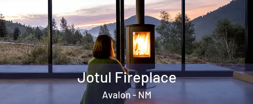 Jotul Fireplace Avalon - NM