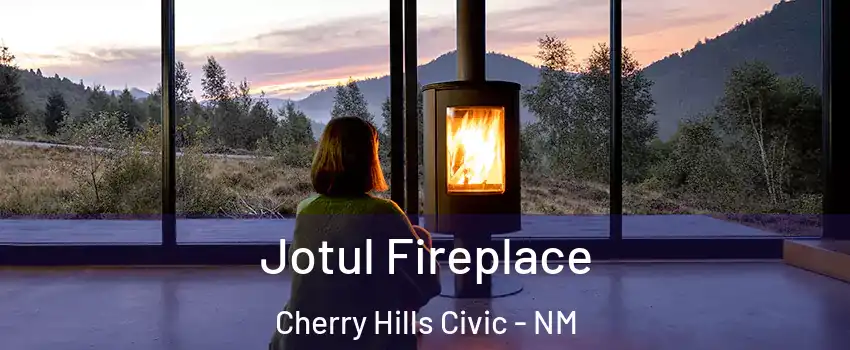 Jotul Fireplace Cherry Hills Civic - NM