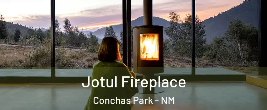 Jotul Fireplace Conchas Park - NM