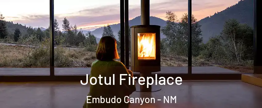 Jotul Fireplace Embudo Canyon - NM