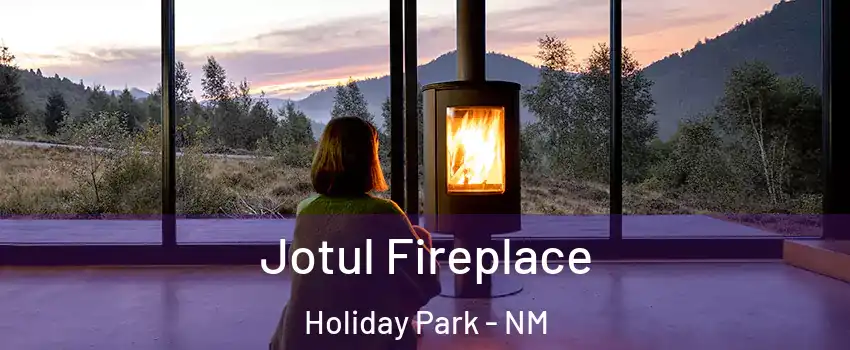 Jotul Fireplace Holiday Park - NM