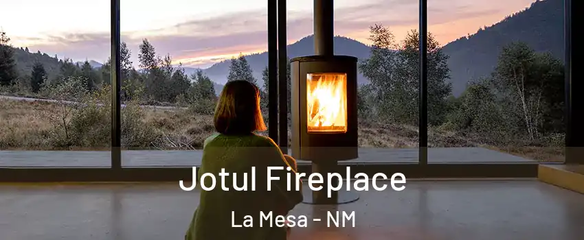 Jotul Fireplace La Mesa - NM