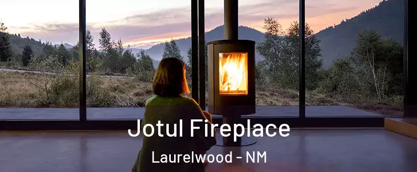 Jotul Fireplace Laurelwood - NM