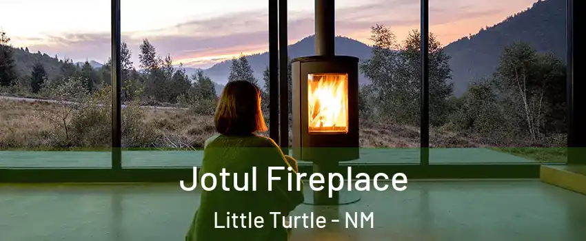 Jotul Fireplace Little Turtle - NM