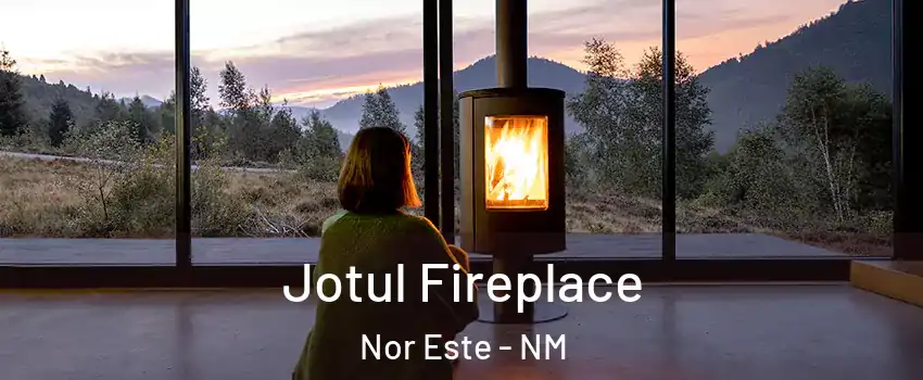 Jotul Fireplace Nor Este - NM