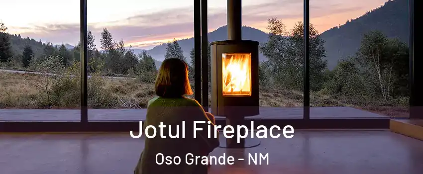 Jotul Fireplace Oso Grande - NM