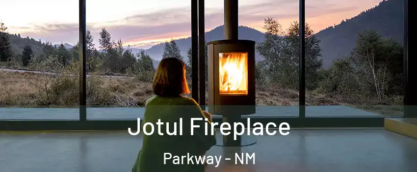 Jotul Fireplace Parkway - NM