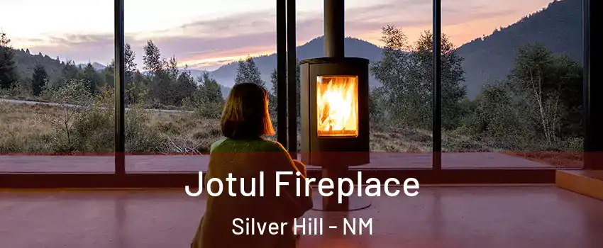 Jotul Fireplace Silver Hill - NM