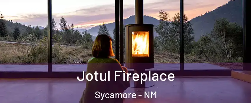 Jotul Fireplace Sycamore - NM