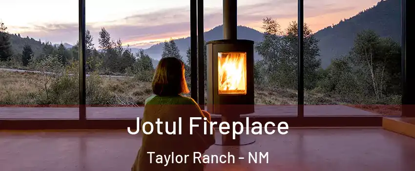 Jotul Fireplace Taylor Ranch - NM