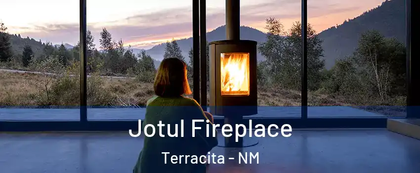 Jotul Fireplace Terracita - NM