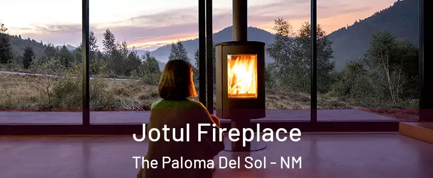 Jotul Fireplace The Paloma Del Sol - NM