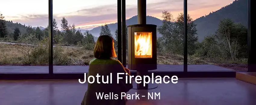 Jotul Fireplace Wells Park - NM