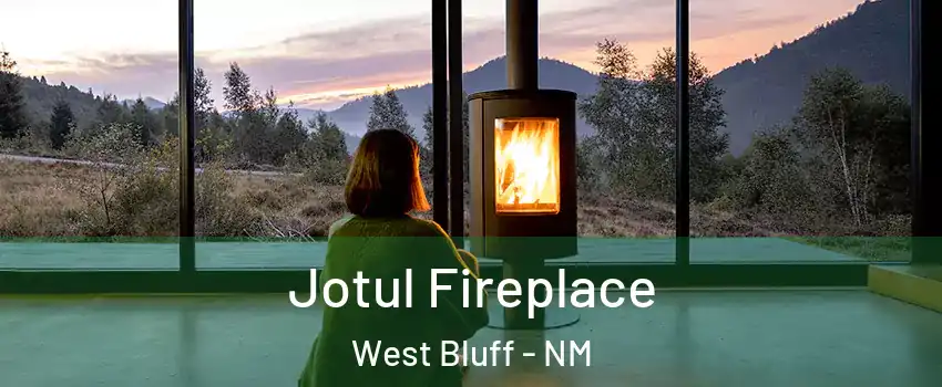 Jotul Fireplace West Bluff - NM