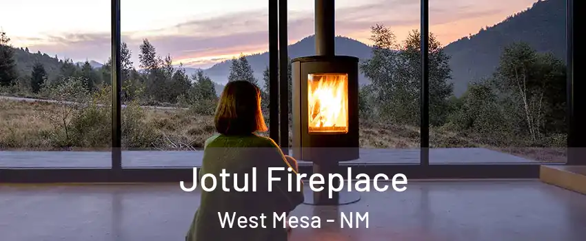 Jotul Fireplace West Mesa - NM