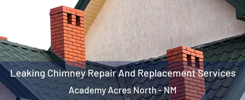 Leaking Chimney Repair And Replacement Services Academy Acres North - NM