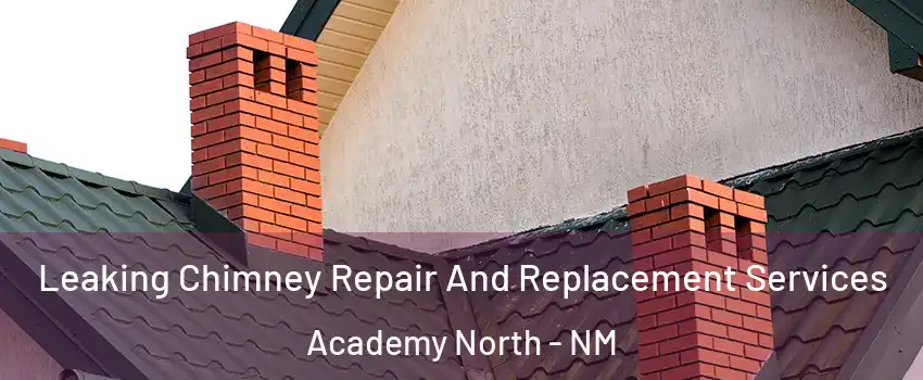 Leaking Chimney Repair And Replacement Services Academy North - NM
