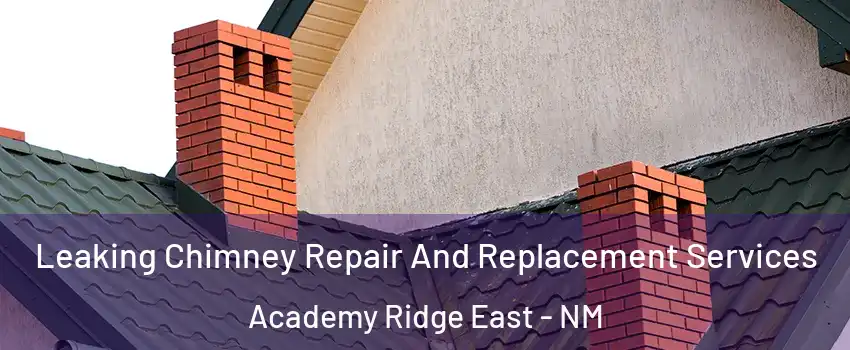 Leaking Chimney Repair And Replacement Services Academy Ridge East - NM