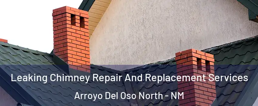 Leaking Chimney Repair And Replacement Services Arroyo Del Oso North - NM