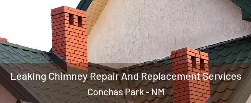 Leaking Chimney Repair And Replacement Services Conchas Park - NM