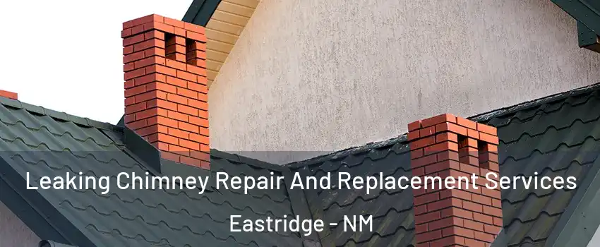 Leaking Chimney Repair And Replacement Services Eastridge - NM