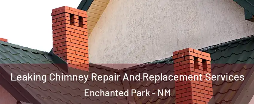Leaking Chimney Repair And Replacement Services Enchanted Park - NM