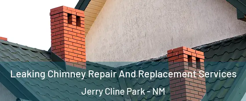 Leaking Chimney Repair And Replacement Services Jerry Cline Park - NM