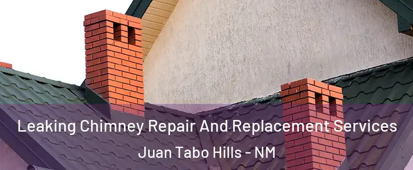 Leaking Chimney Repair And Replacement Services Juan Tabo Hills - NM