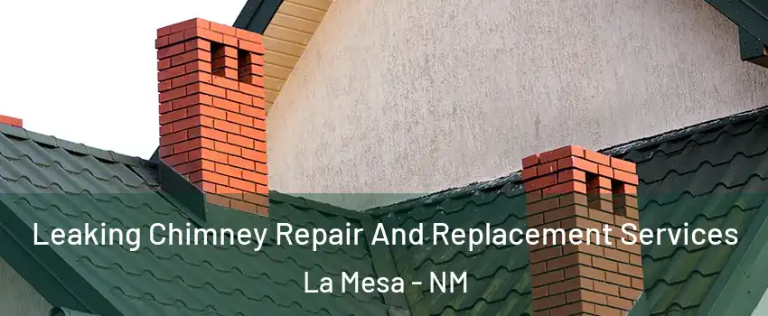 Leaking Chimney Repair And Replacement Services La Mesa - NM