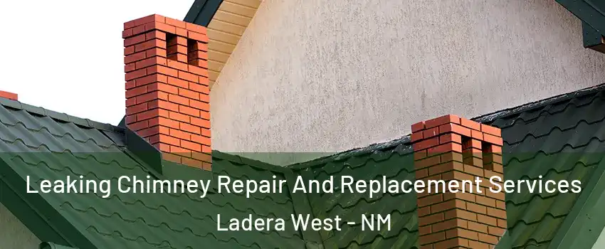 Leaking Chimney Repair And Replacement Services Ladera West - NM