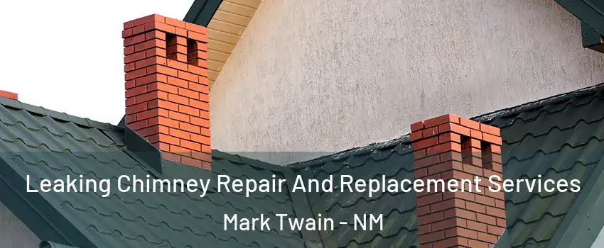 Leaking Chimney Repair And Replacement Services Mark Twain - NM
