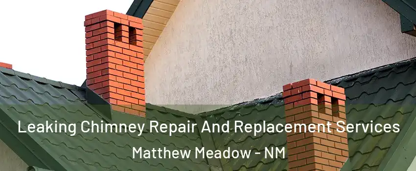 Leaking Chimney Repair And Replacement Services Matthew Meadow - NM