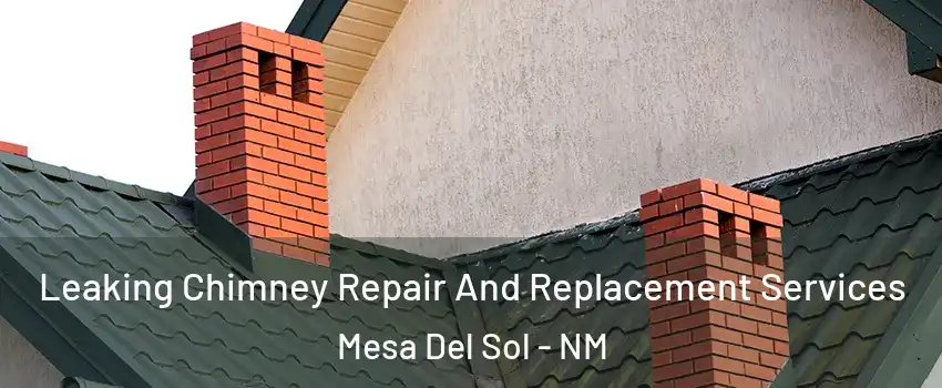 Leaking Chimney Repair And Replacement Services Mesa Del Sol - NM
