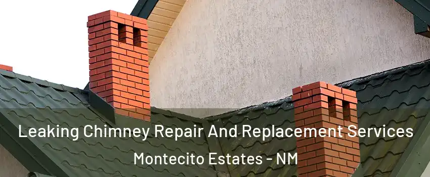 Leaking Chimney Repair And Replacement Services Montecito Estates - NM