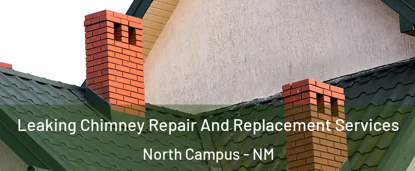 Leaking Chimney Repair And Replacement Services North Campus - NM