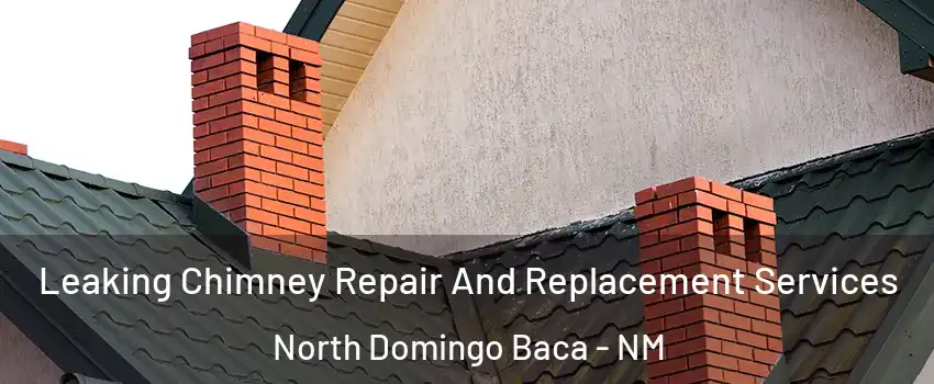 Leaking Chimney Repair And Replacement Services North Domingo Baca - NM