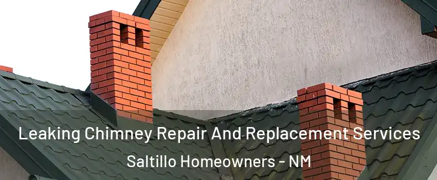 Leaking Chimney Repair And Replacement Services Saltillo Homeowners - NM