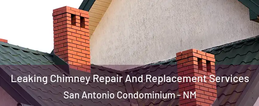 Leaking Chimney Repair And Replacement Services San Antonio Condominium - NM