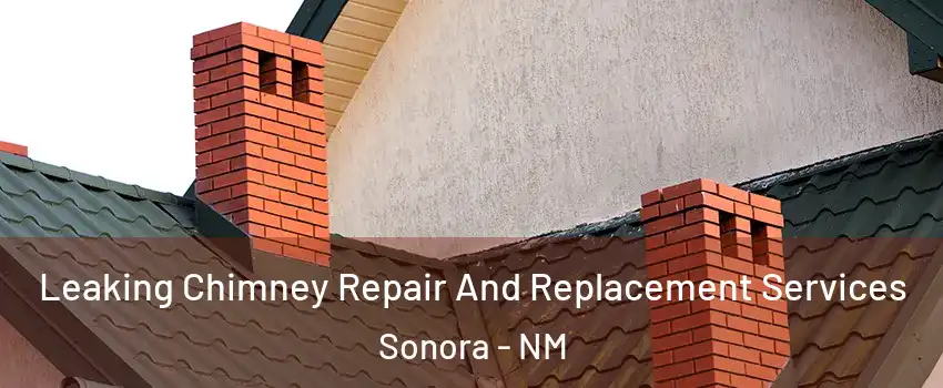 Leaking Chimney Repair And Replacement Services Sonora - NM