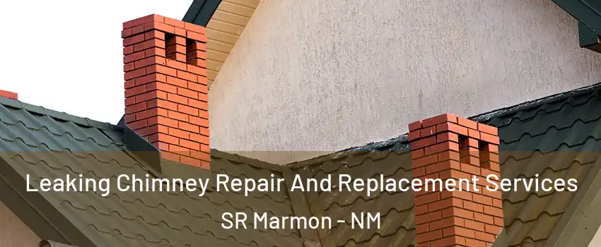 Leaking Chimney Repair And Replacement Services SR Marmon - NM