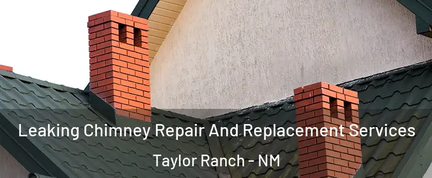 Leaking Chimney Repair And Replacement Services Taylor Ranch - NM