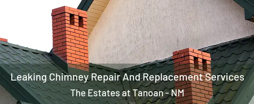 Leaking Chimney Repair And Replacement Services The Estates at Tanoan - NM
