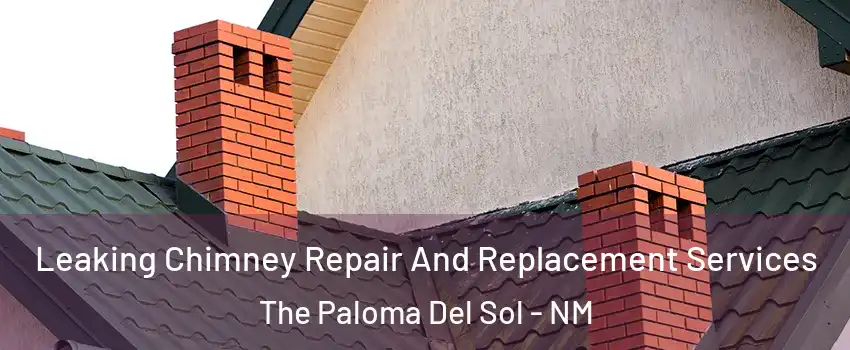 Leaking Chimney Repair And Replacement Services The Paloma Del Sol - NM