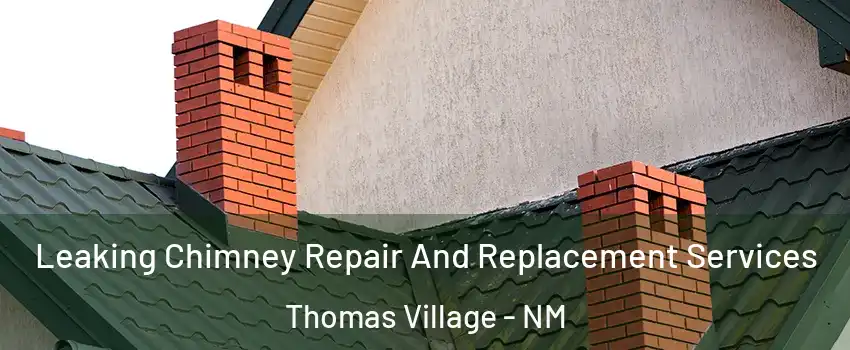 Leaking Chimney Repair And Replacement Services Thomas Village - NM